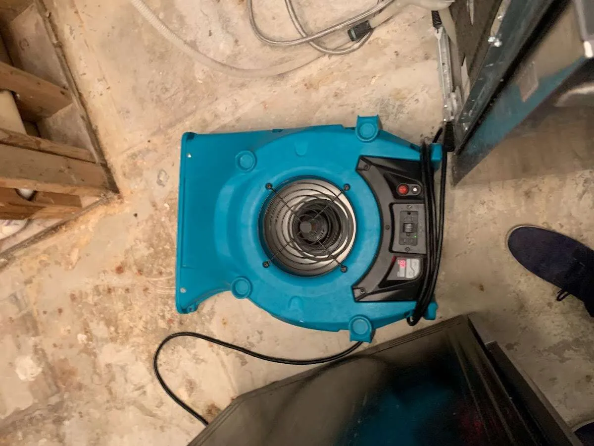 Air mover drying equipment for Mold Remediation & Removal in Peachtree City